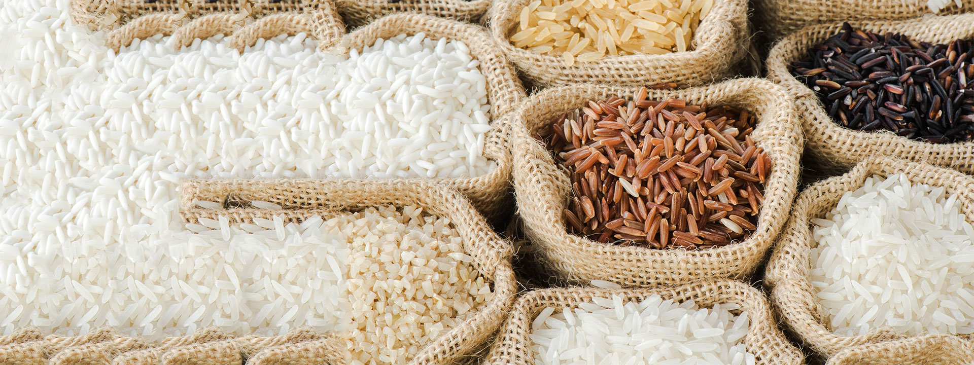 bannière-riz