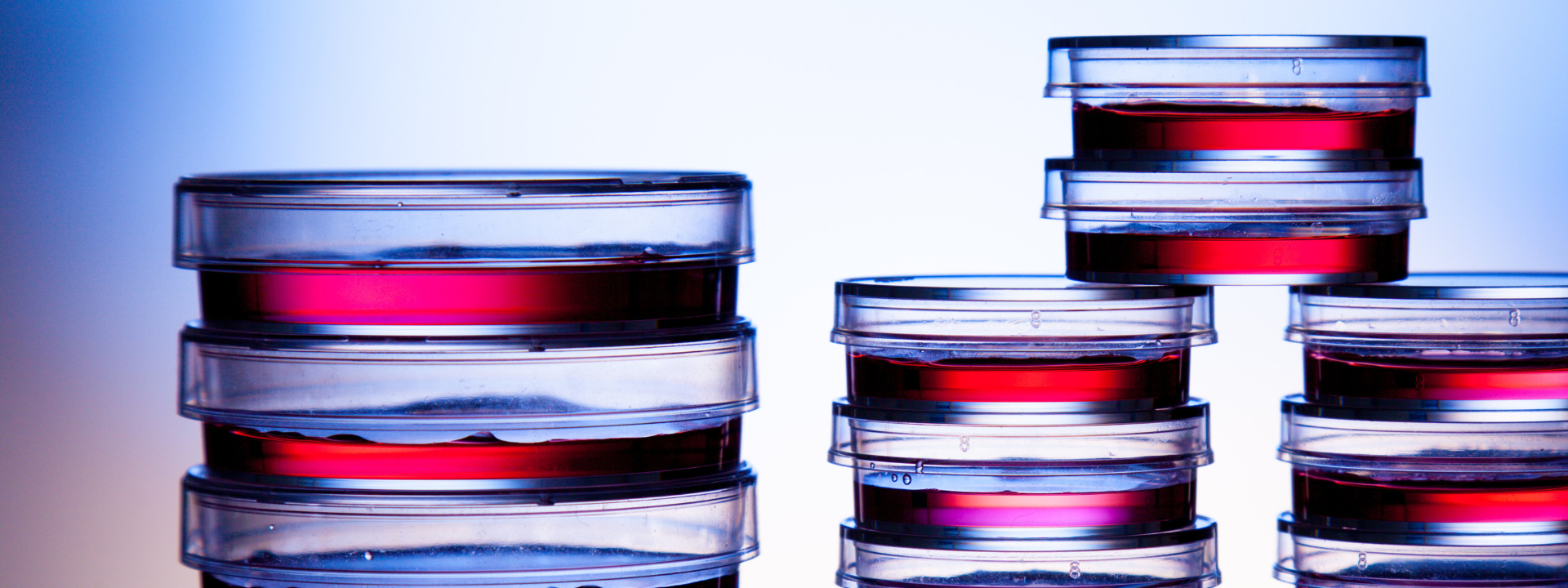 microbiology-testing-banner-image-1920x720