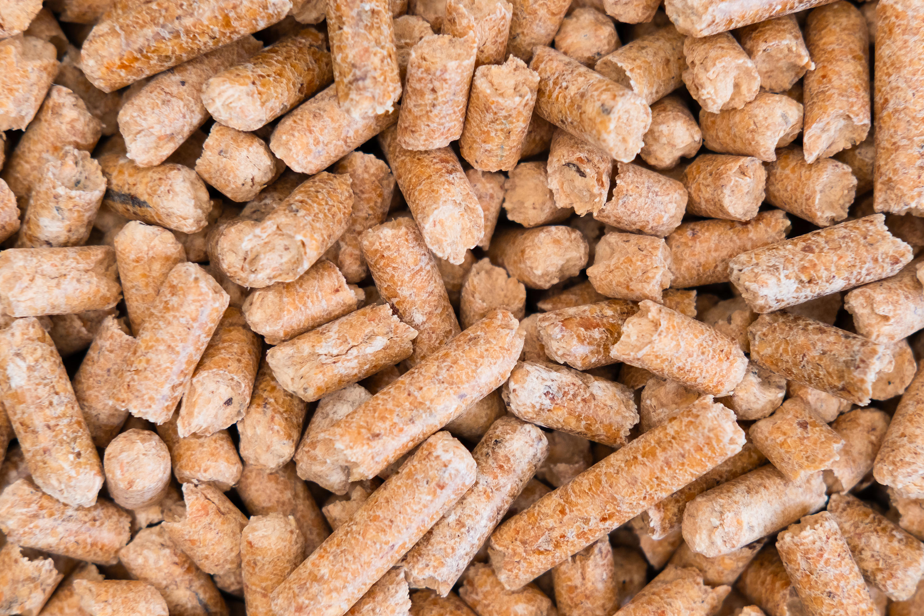 wood-pellet-cat-litter-as-background-close-up