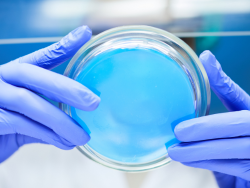 surface-and-air-microbiological-analysis-accordion