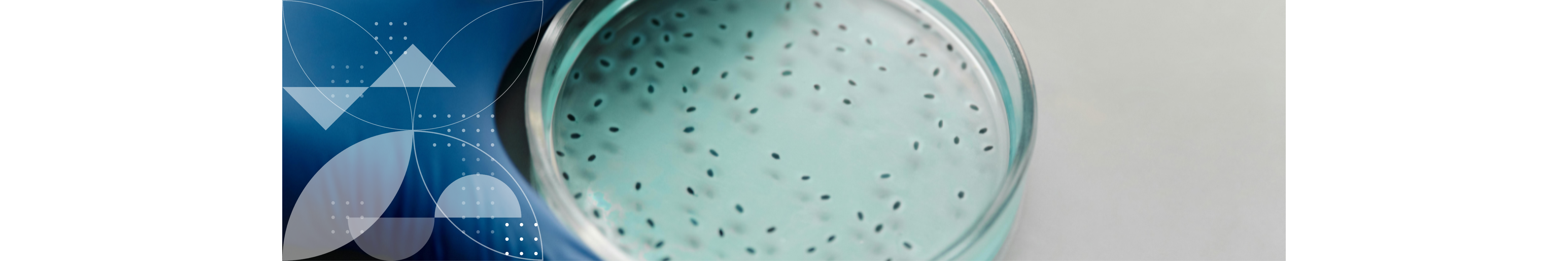 eurofins_listeria_mailbanner_v2