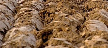 agro-soil-800x357px