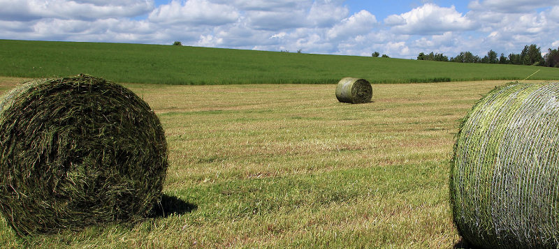 hooirollen800x357