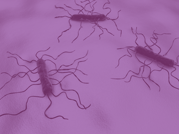 listeria-hazard-awareness-monitoring-and-principles-of-control