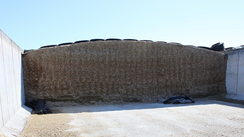 agro-silage-in-concrete (1)