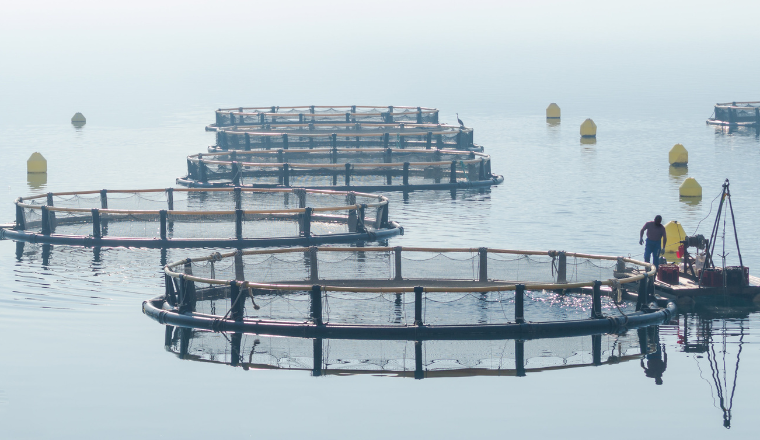 industries-aquaculture-anf-fish-farming