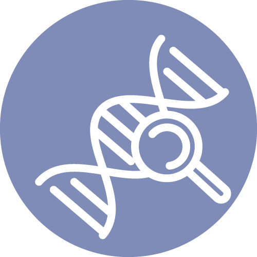 dna-copy-2