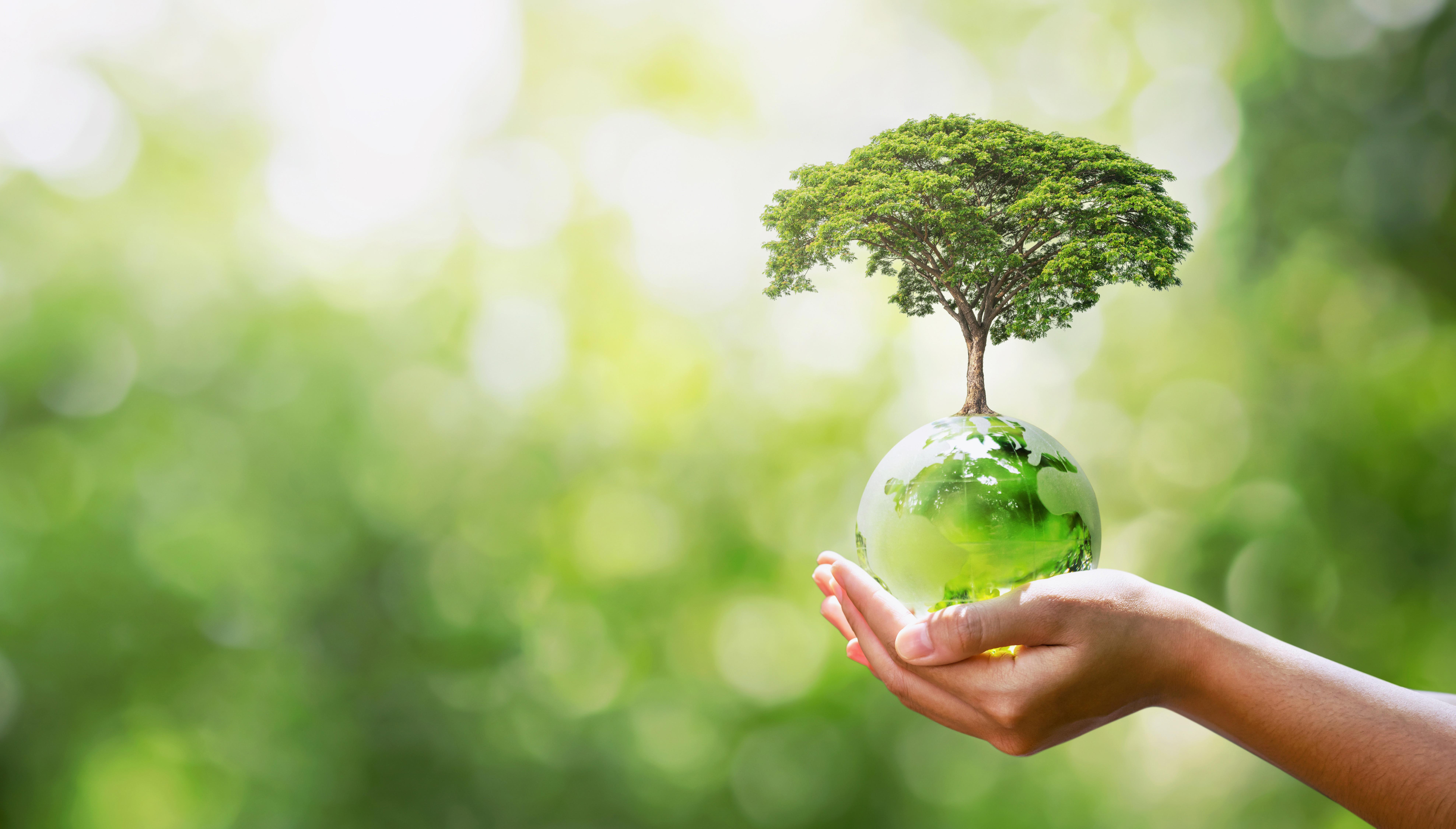 hand-holding-glass-globe-wi