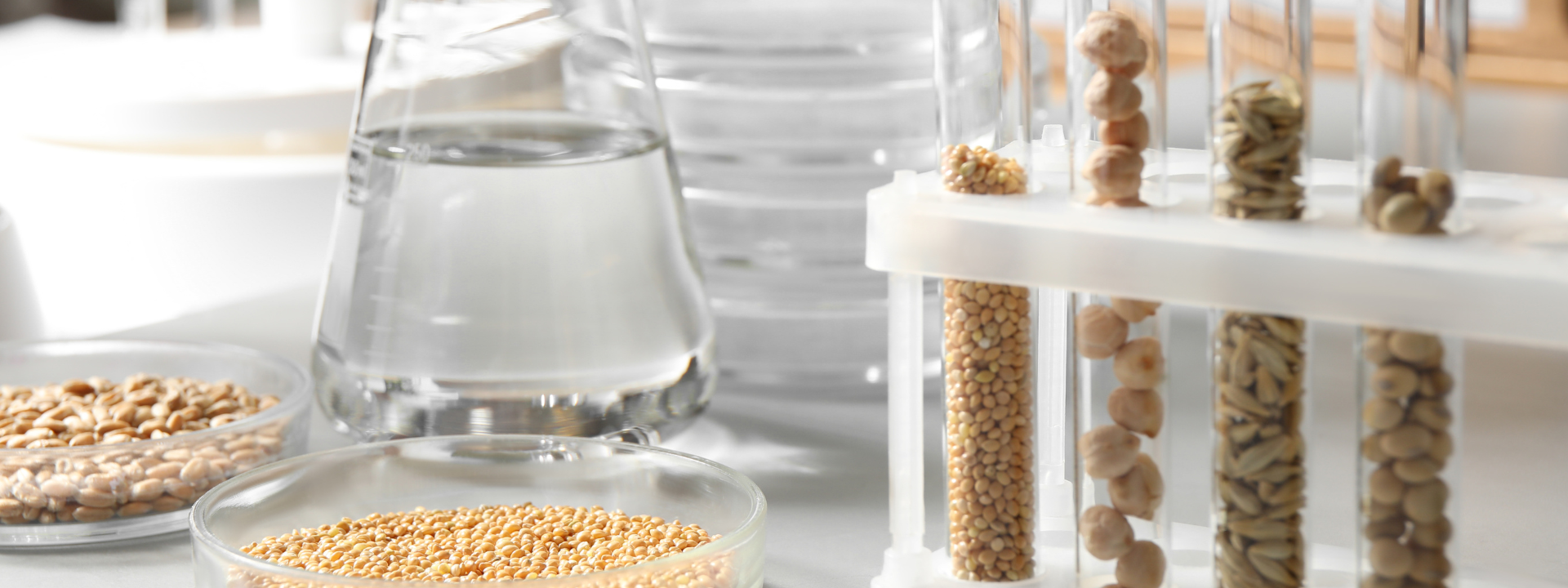 expertise-dans-les-analyses-des-céréales-et-leur-qualité-boulangère-la-force-deurofins-chimie-alimentaire-rouen