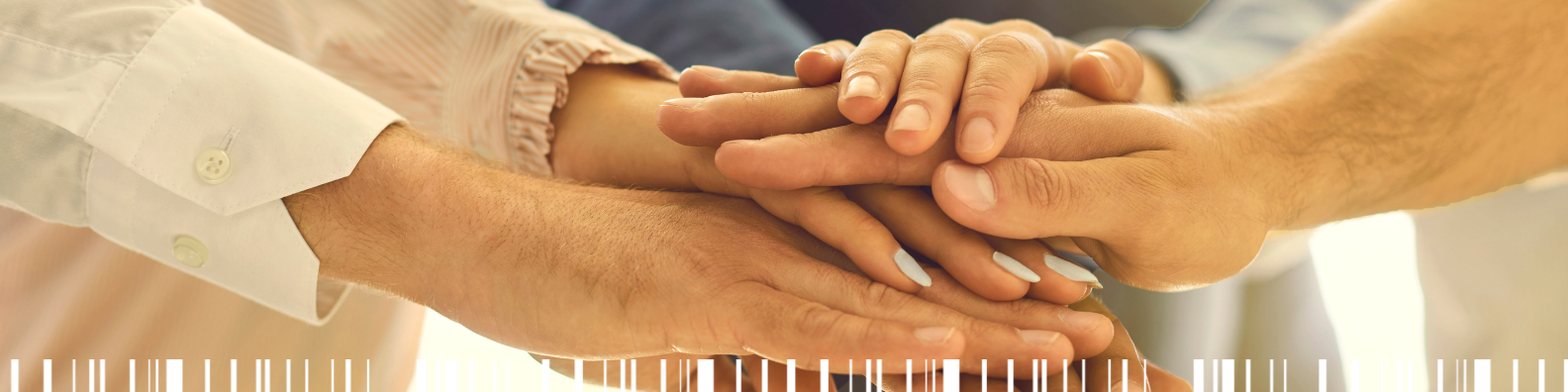 bannière Fondation Eurofins