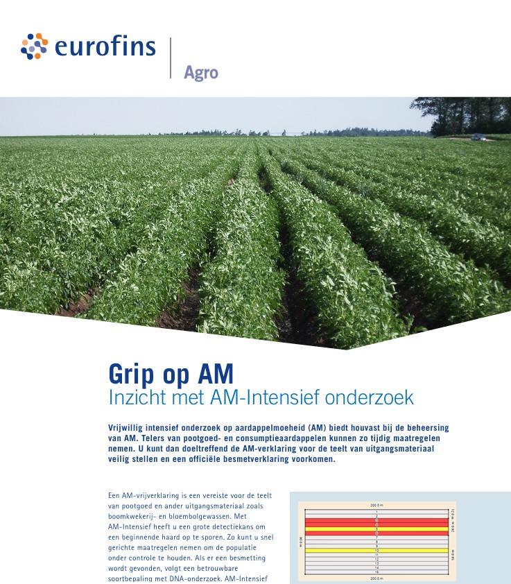 am-intensief