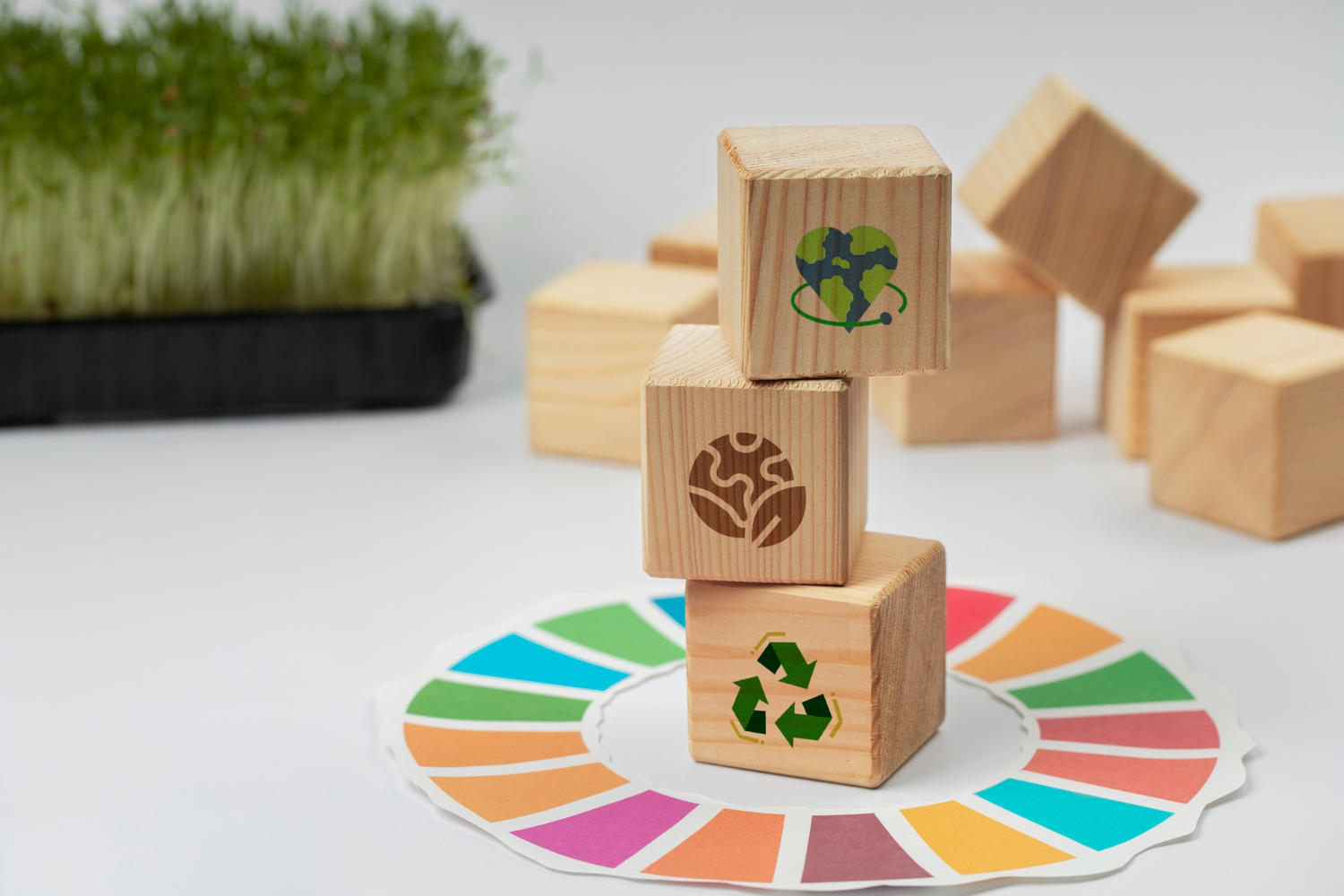 sustainable-development-goals-still-life