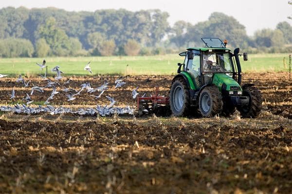agro-tractor-green-preparing-soil-spring-birds