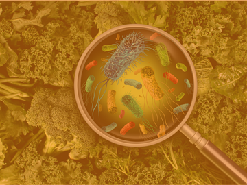food-safety-topics