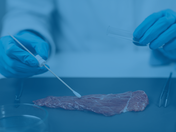 introduction-to-microbiological-sampling-and-testing-of-foods