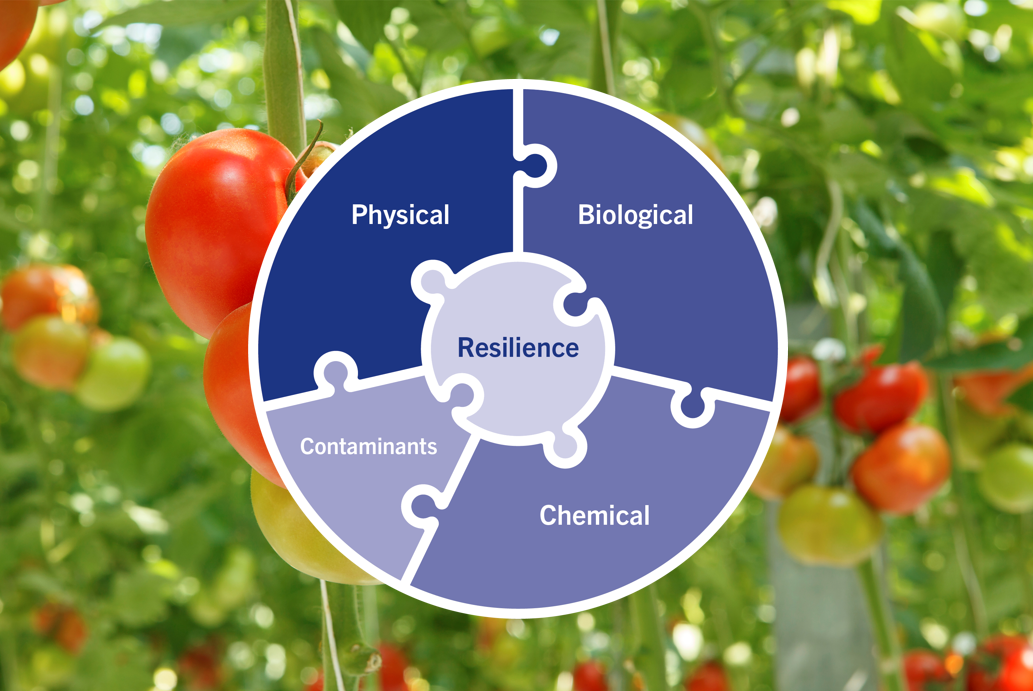 afbeelding-puzzel-horti-nl (1)