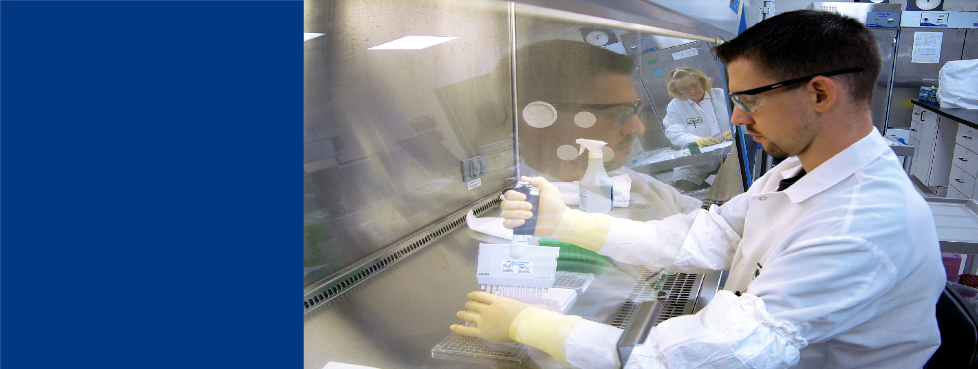 Manipulation en laboratoire Eurofins Biopharma Product Testing : utilisation d’une micropipette sous hotte pour le contrôle de l’activité biologique.