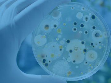 bacteria-co-for-the-bewildered-a-beginners-guide-to-food-microbiology