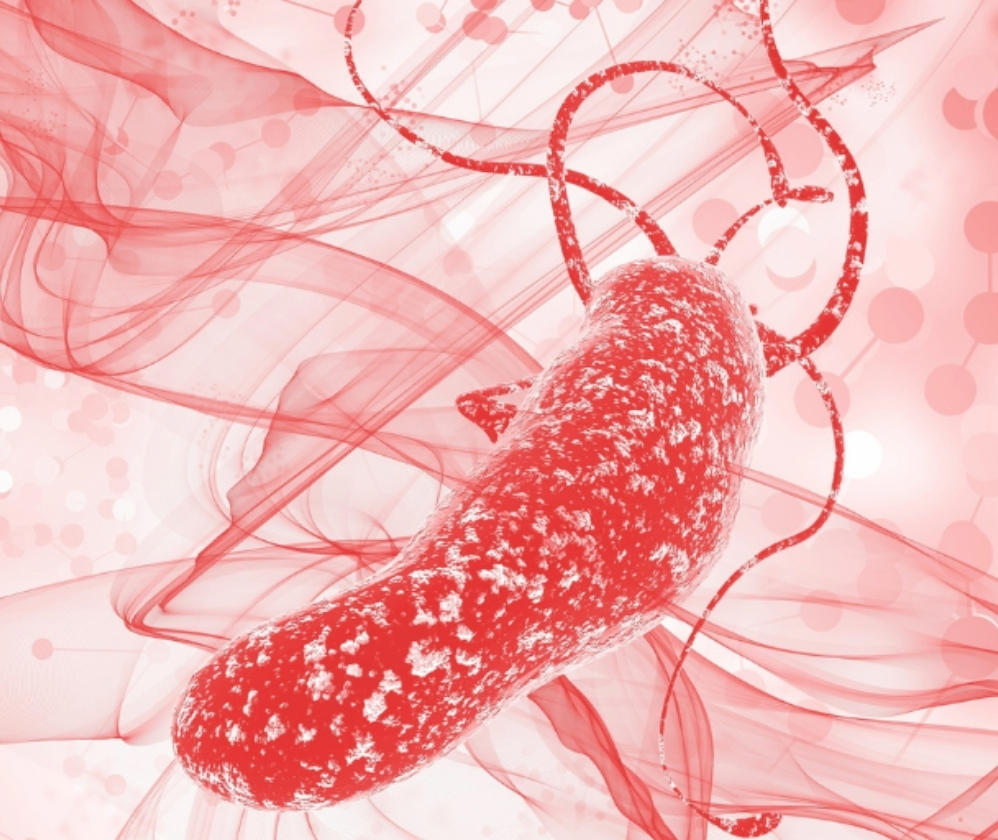 helicobacter-pylori