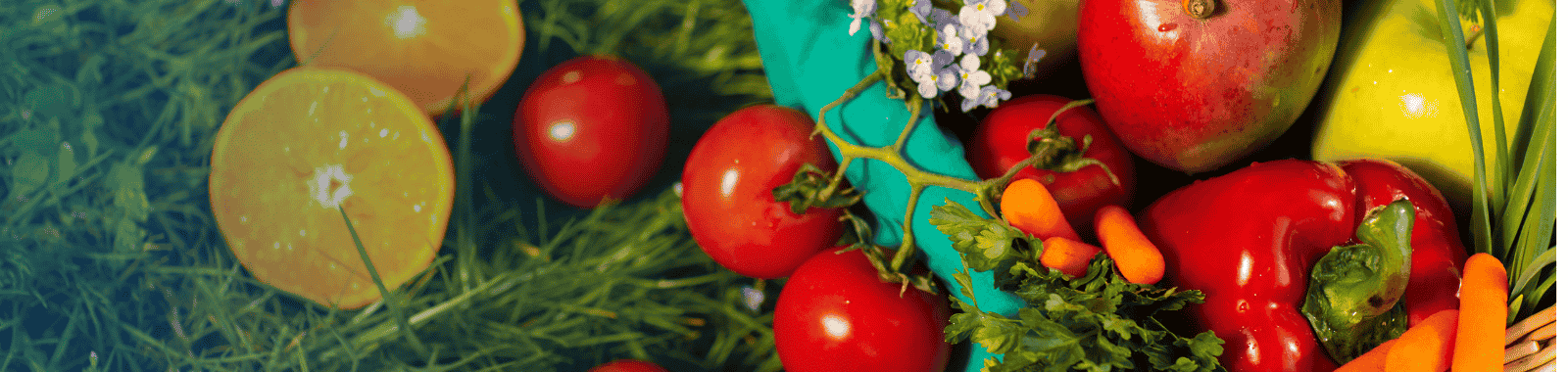 bannière-fruit-et-légumes