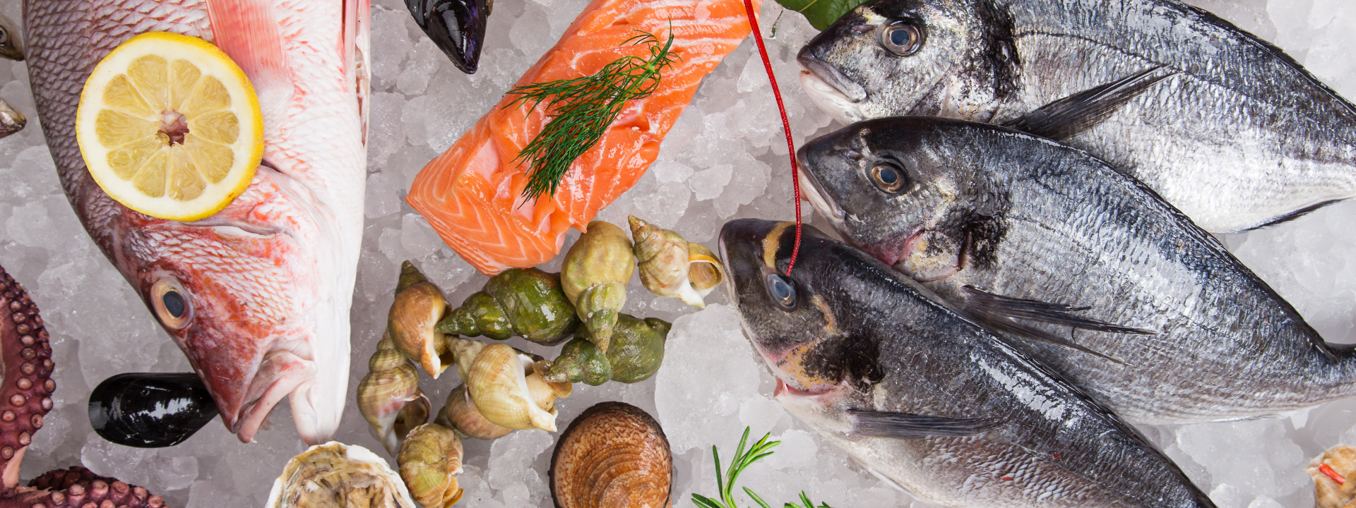 bannière-poissons-et-produits-de-la-mer