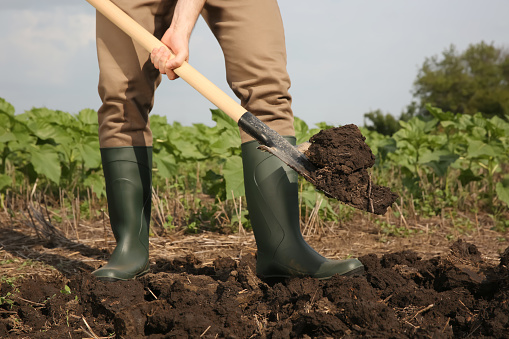 istockphoto-1329640076-170667a