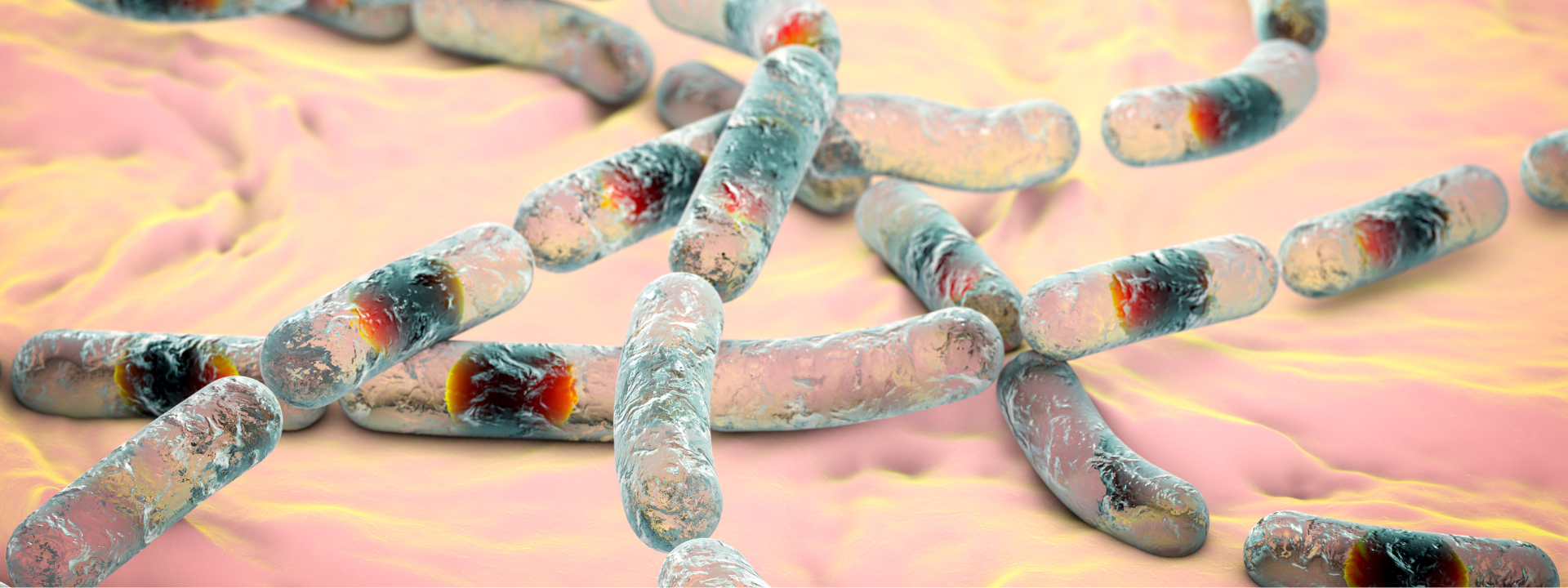 bacillus-cereus-banner-image-1920x720