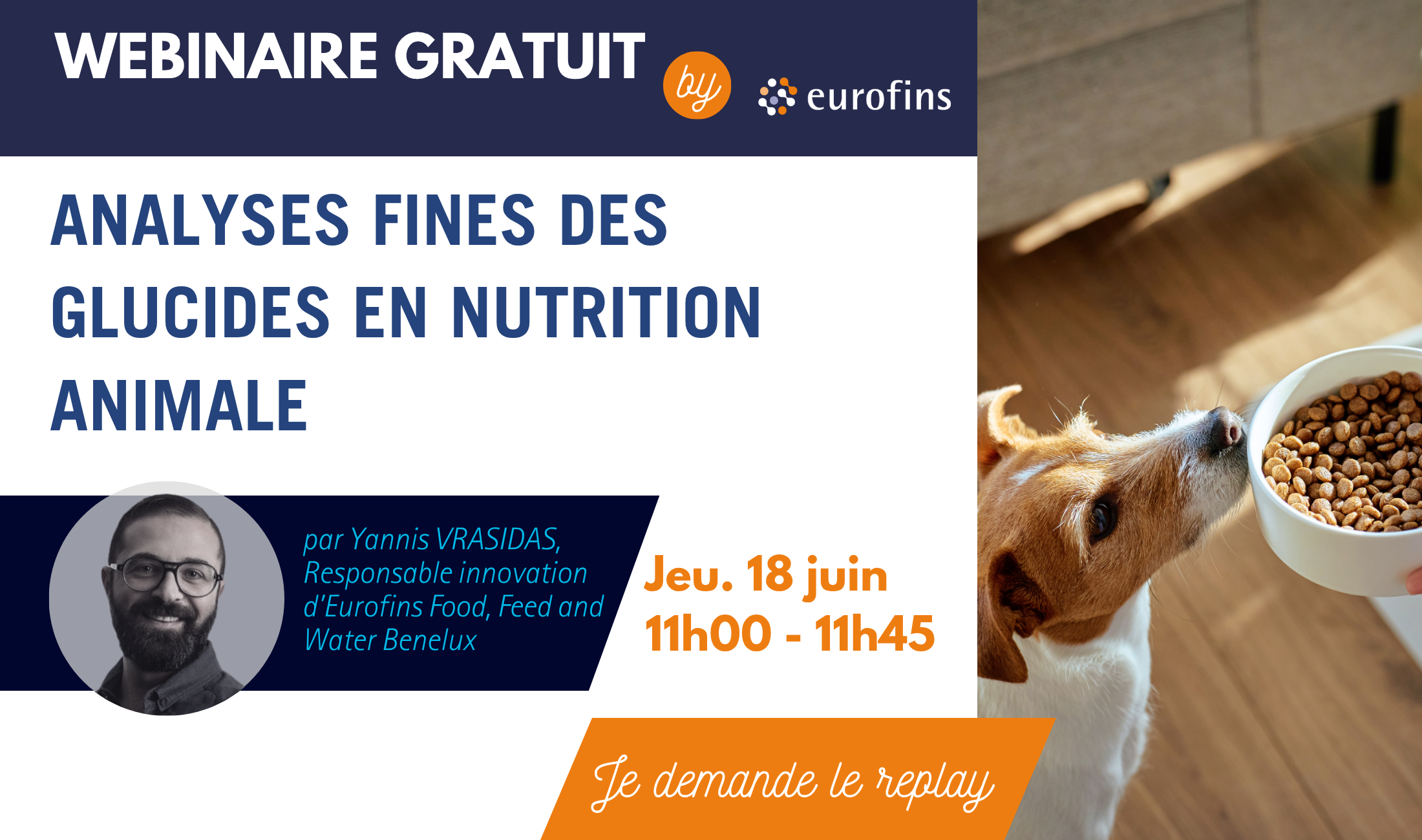 webinar-glucides-nutrition-animale