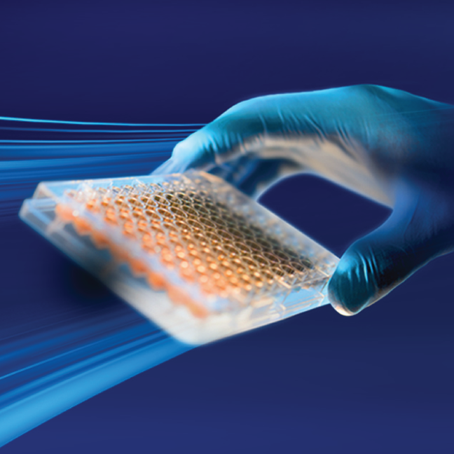 dx-hand-pipette-tray-648-x-648