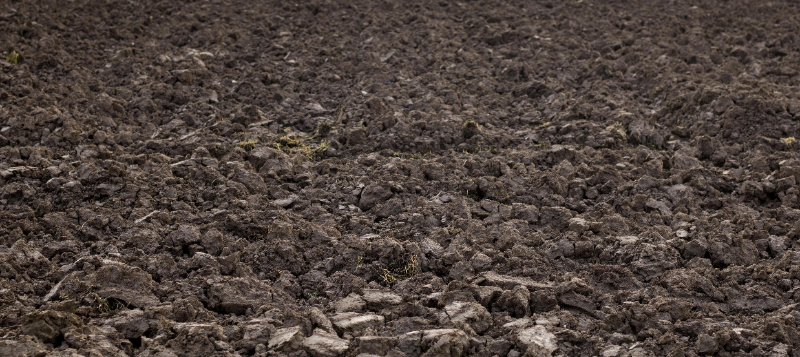 agro-soil-2-800x357px