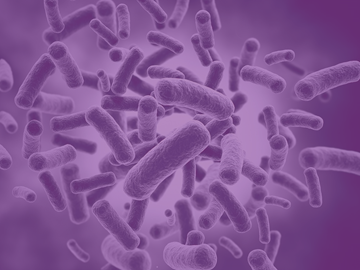 microorganism-focus-topics