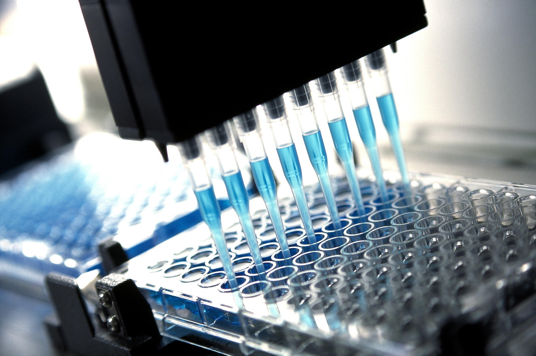 A close-up image of a laboratory pipetting robot dispensing blue liquid into a 96-well plate. The robotic system has multiple pipette tips aligned in a row, each releasing the liquid into individual wells of the plate.