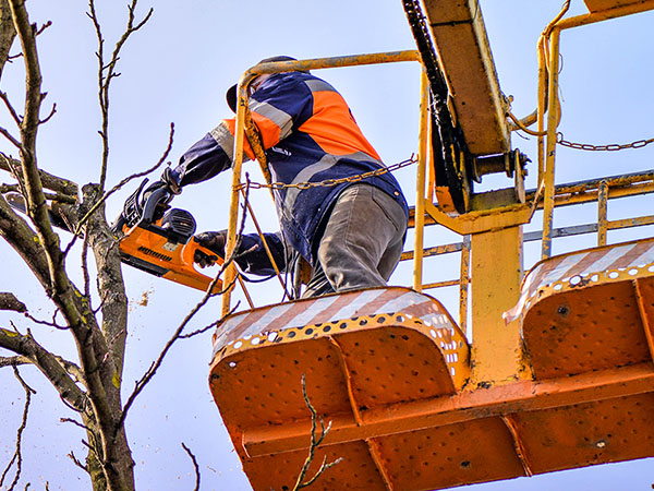 industry-lifting-equipment-it