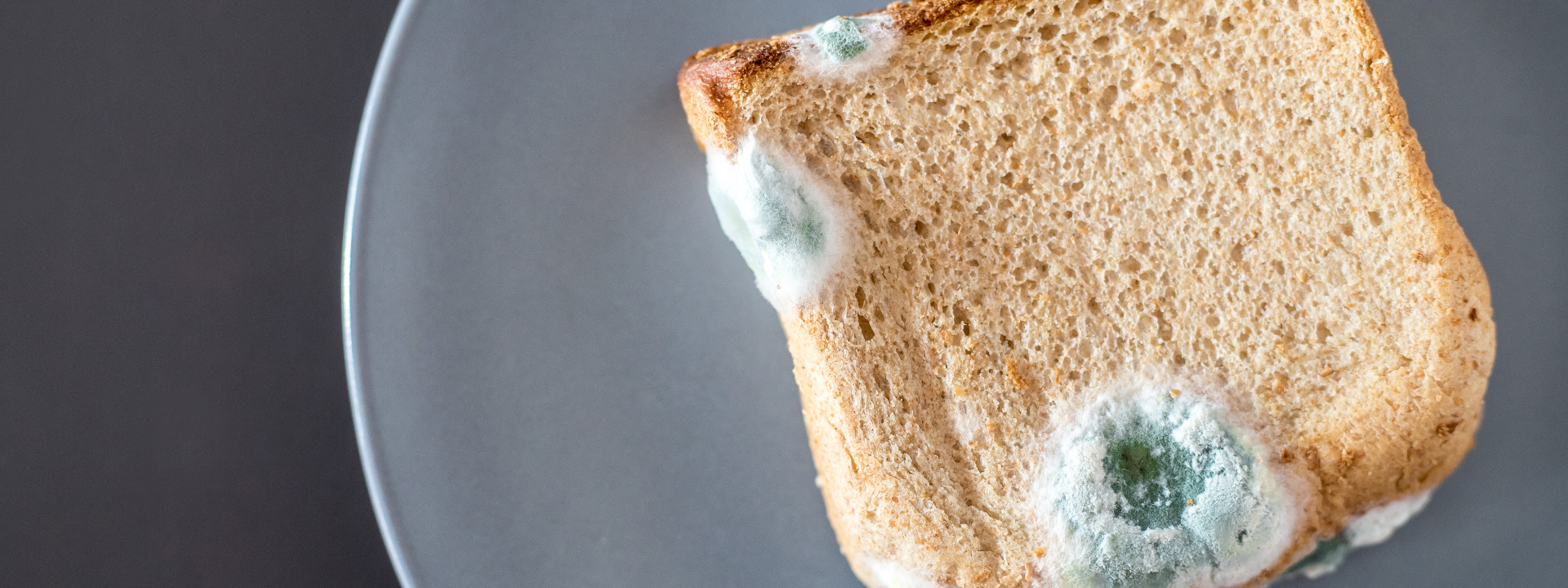 bannière-altération-par-ngs