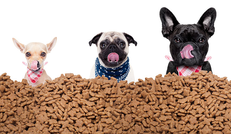 petfood_760x440px