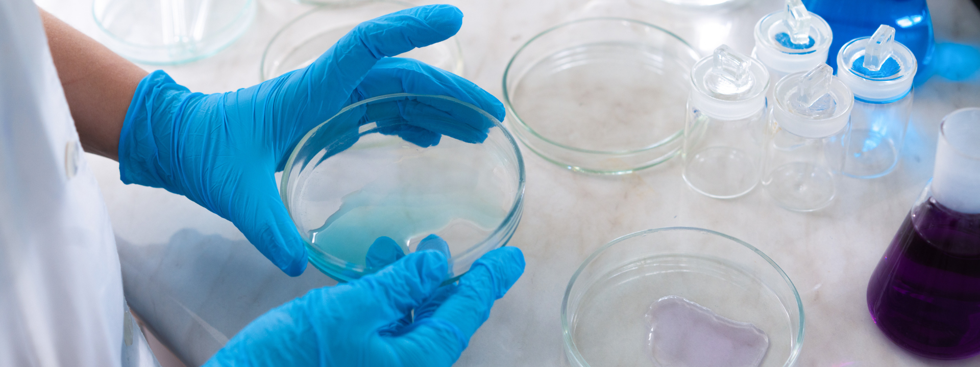 audit-microbiologique