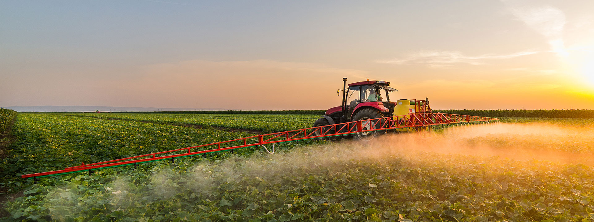 bannière-pesticides (1)
