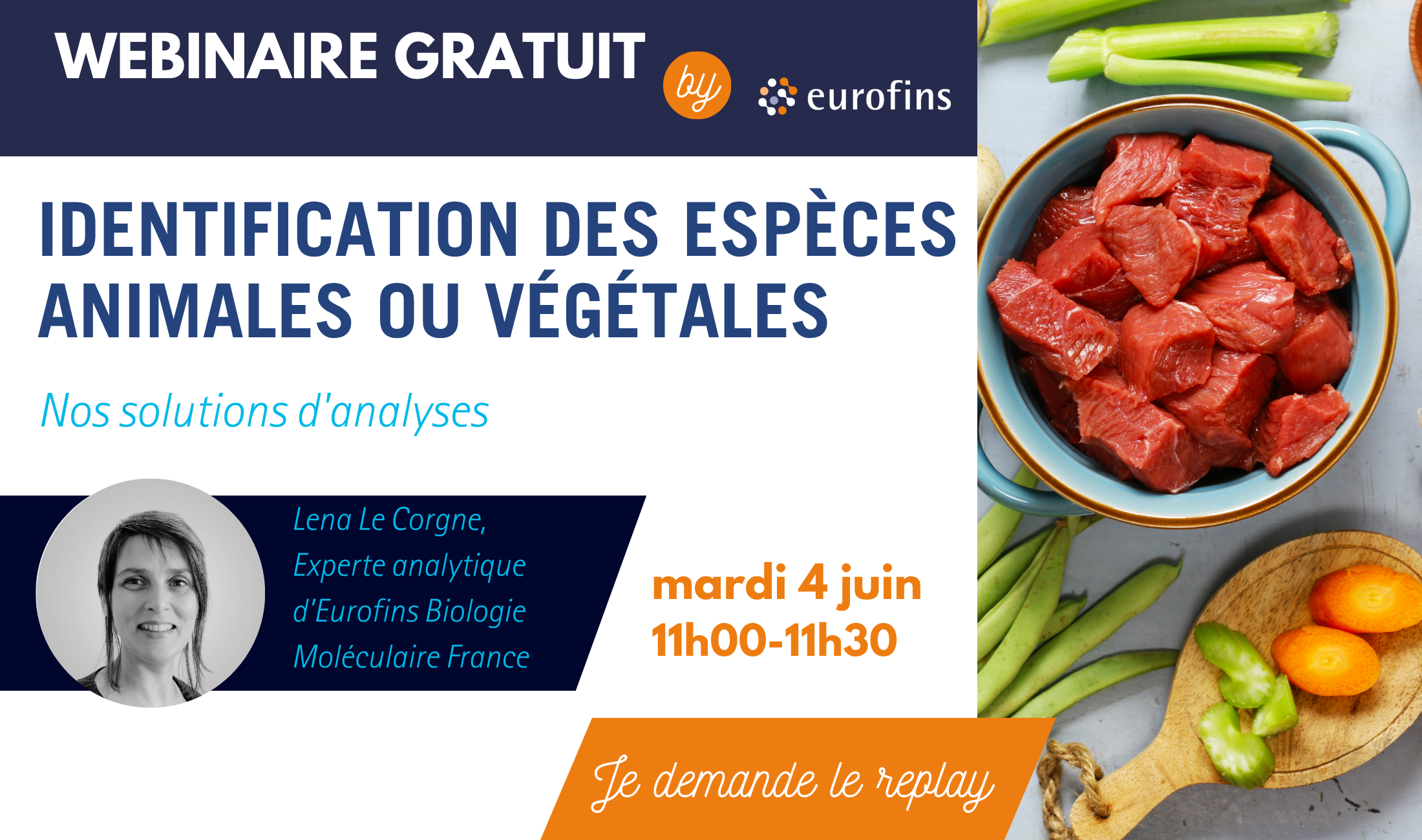 webinar-identification-des-espèces-animales-ou-végétales