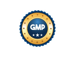 gmp-icon-1