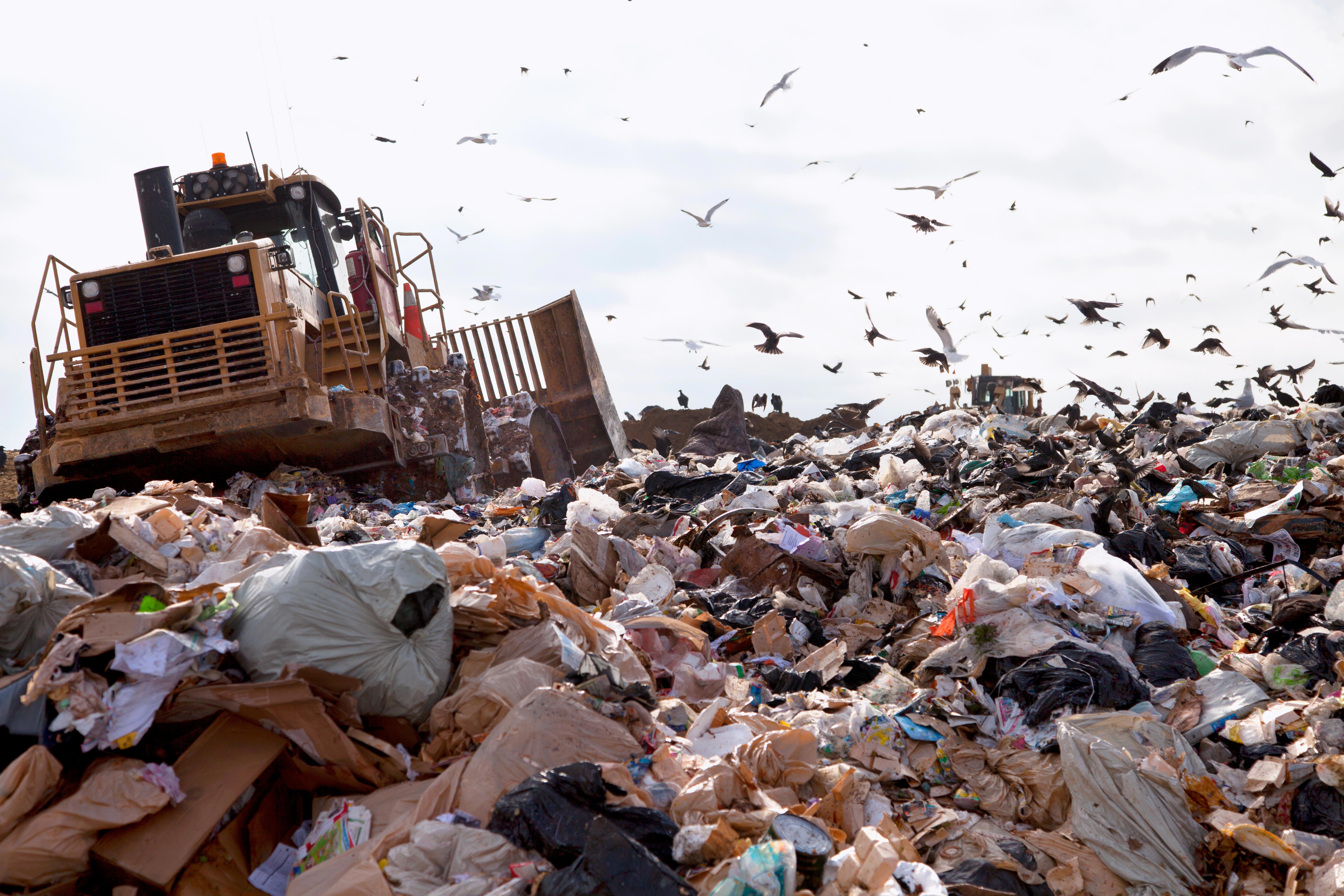 truck-working-in-landfill-with-birds-looking-for-food_8424-x-5616-px
