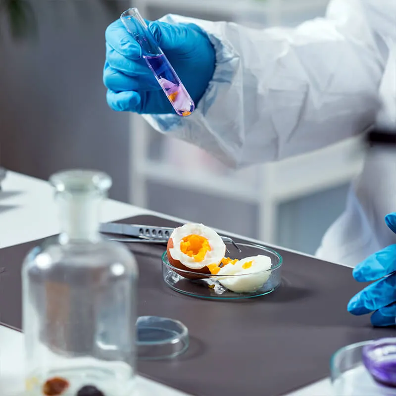 types-of-food-products-we-test
