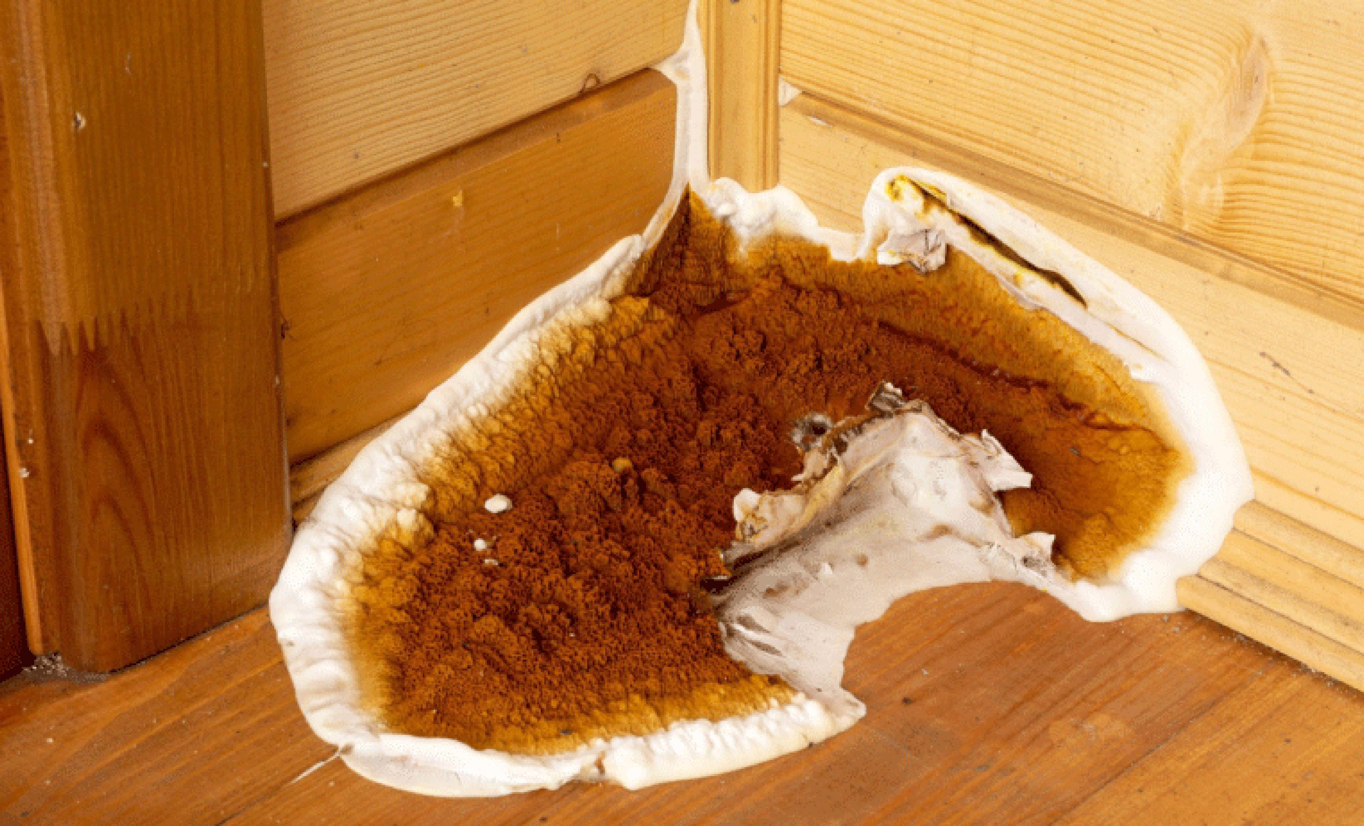 eurofins-environnement-france_bat_bois