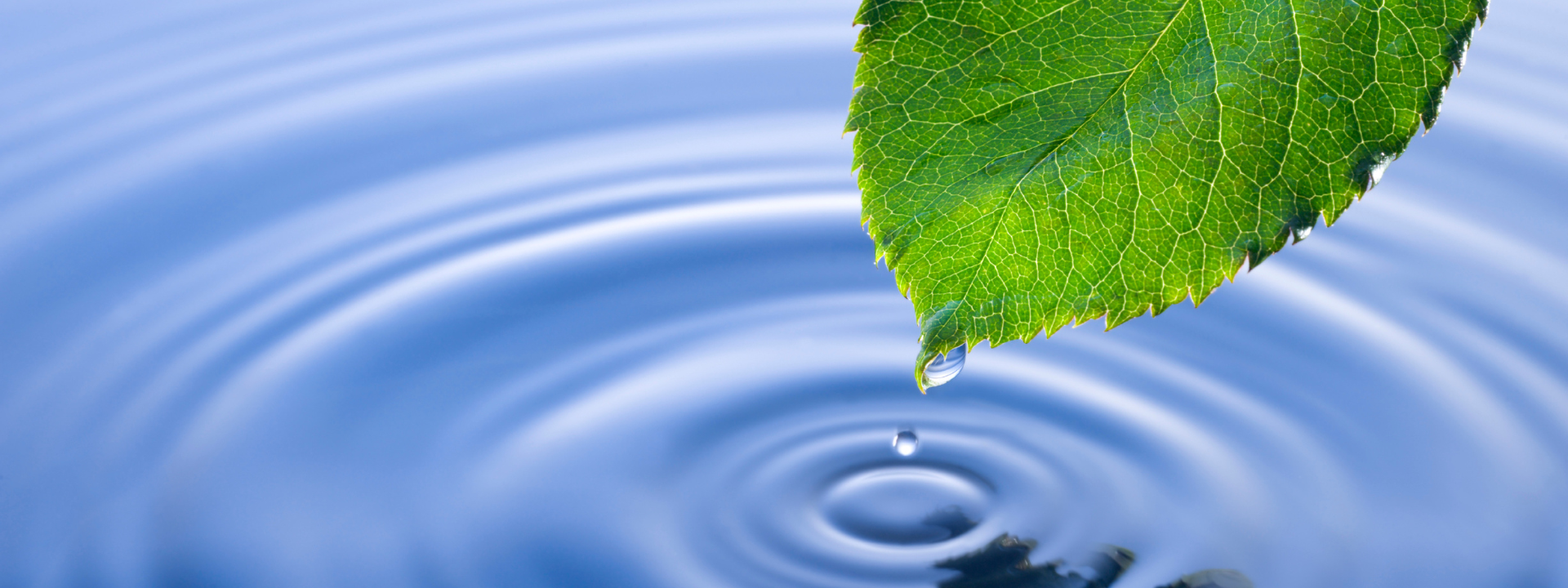 eurofins-water-hygiene-testing-industries (1)
