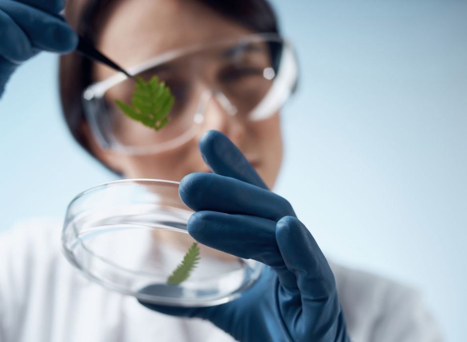 acreditaciones-indicadores-biologicos