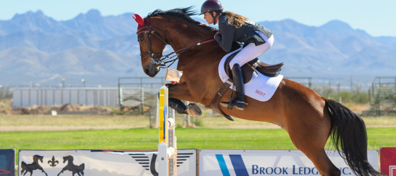 agro-horse-jumping800x357