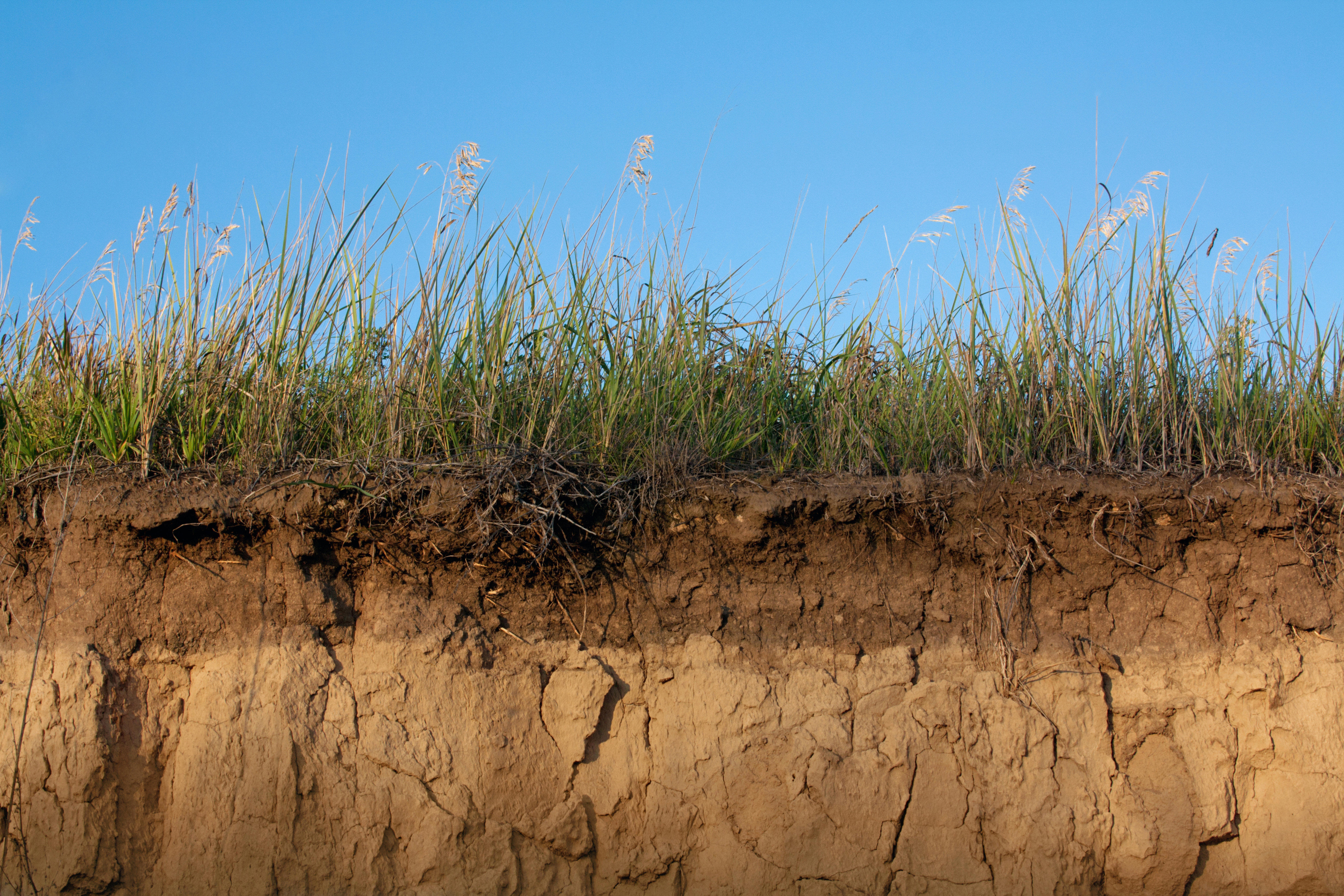 soil-cross-section_5832-x-3888-px-1