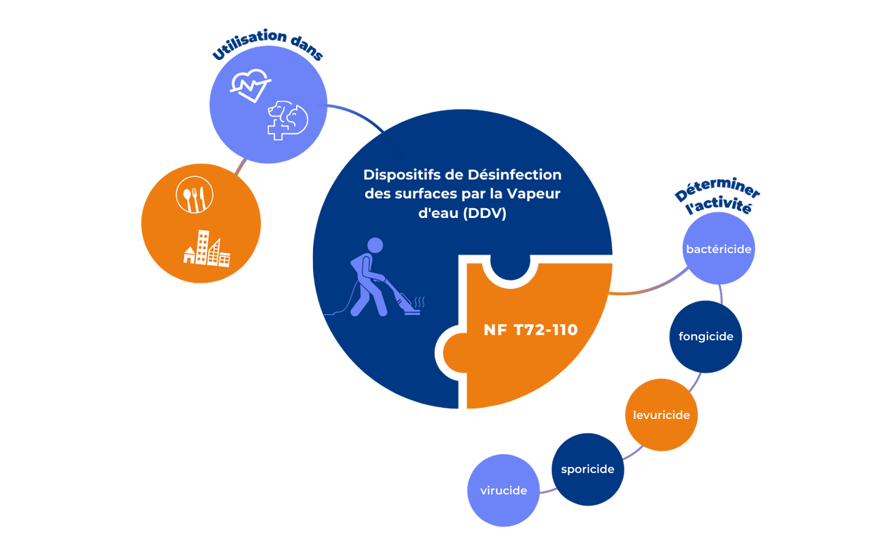infographie-ddv