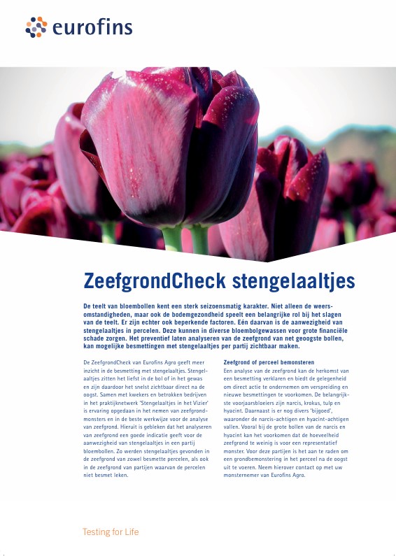 zeefgrond