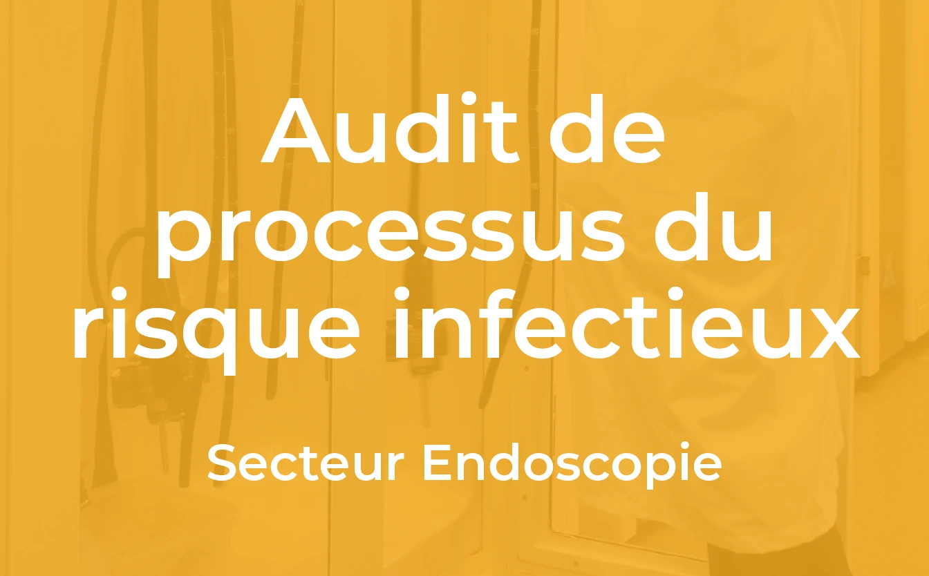 endoscopie_audit_2