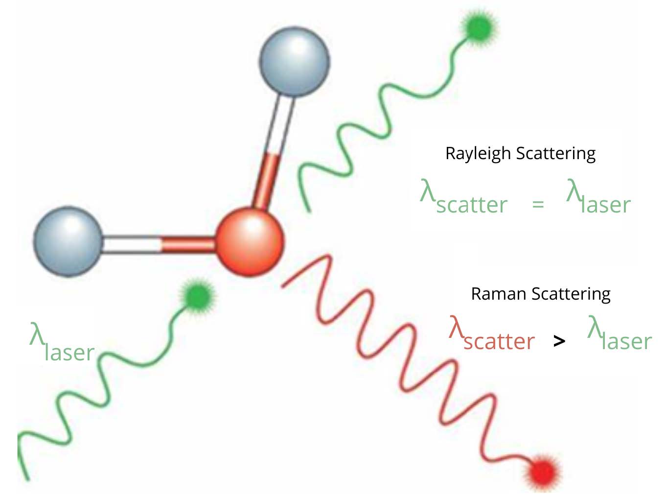 Schéma pédagogique utilisé par Eurofins BioPharma Product Testing pour illustrer les principes de la diffusion Rayleigh et Raman. Une molécule composée de trois atomes interagit avec une lumière laser (λ_laser), représentée par des lignes vertes ondulées. La diffusion Rayleigh conserve la même longueur d’onde (λ_scatter = λ_laser), tandis que la diffusion Raman génère une lumière diffusée à plus grande longueur d’onde (λ_scatter > λ_laser), représentée par des lignes rouges.